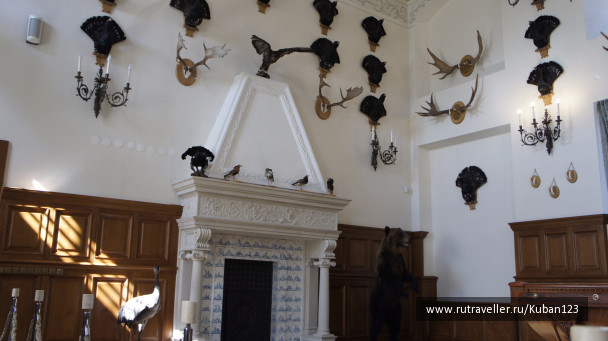photo 1118752