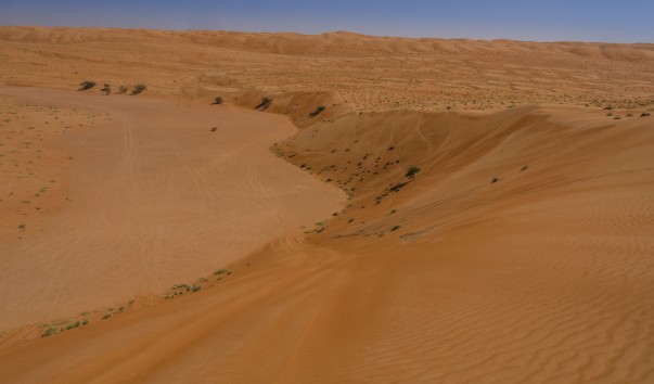 Wahiba_Sands_038