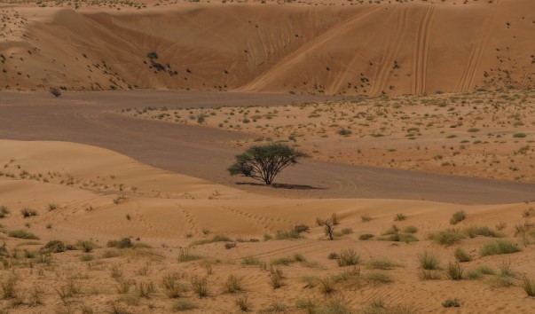 Wahiba_Sands_037