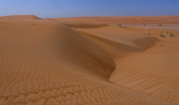 Wahiba_Sands_032