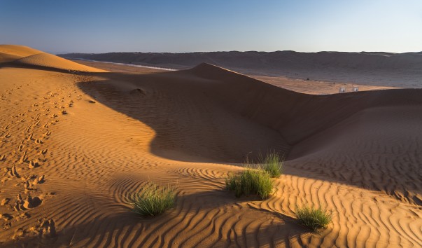 Wahiba_Sands_018