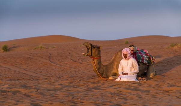 Wahiba_Sands_012