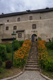 photo 245615