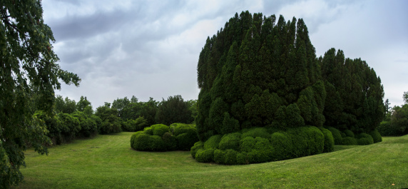 photo 281271