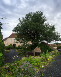 photo 281272