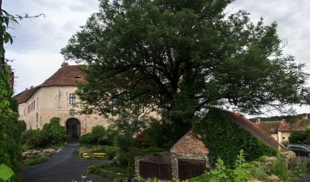 Burg Bernstein_044