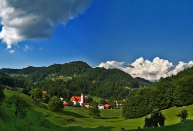 photo 257691