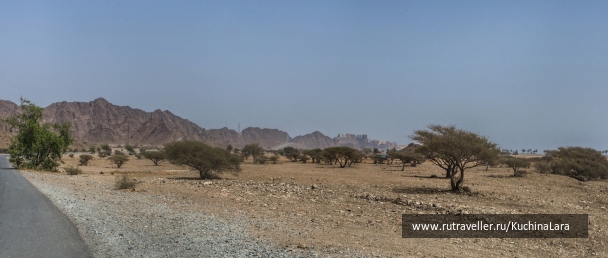 photo 247150