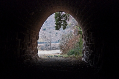 photo 249550