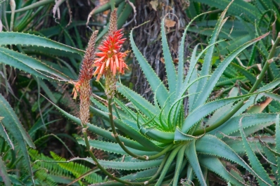 photo 249534