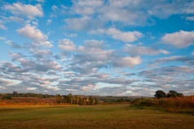 photo 249589