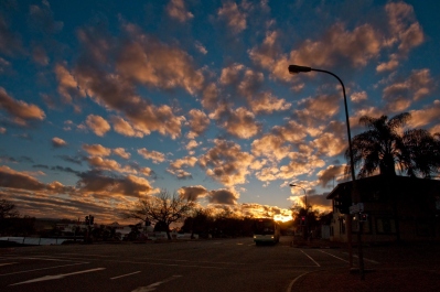 photo 249591