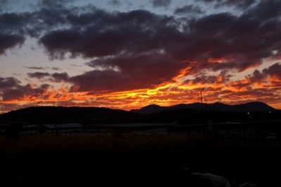 photo 249592