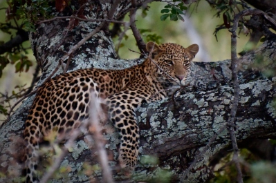 photo 249890