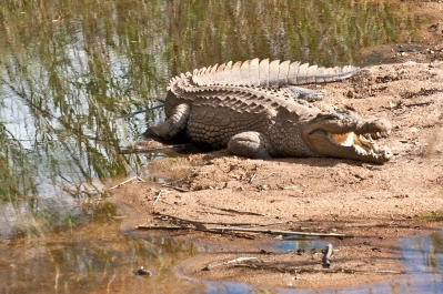 photo 249895