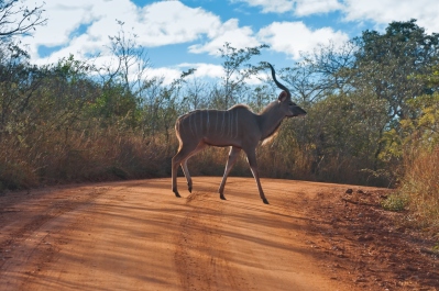 photo 249973