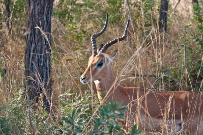 photo 249981