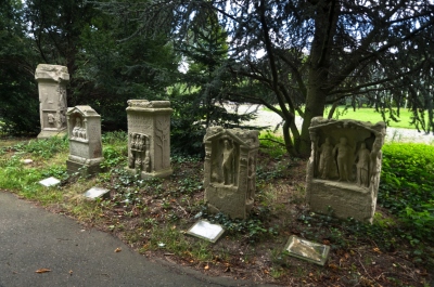 photo 250758