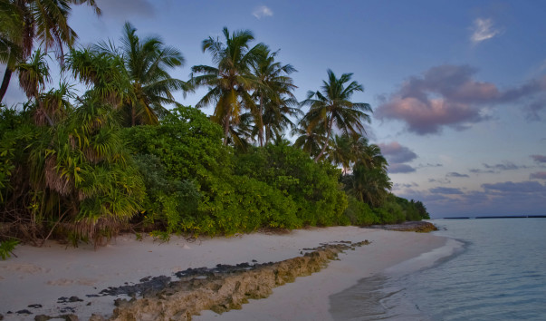 Maldives-1265