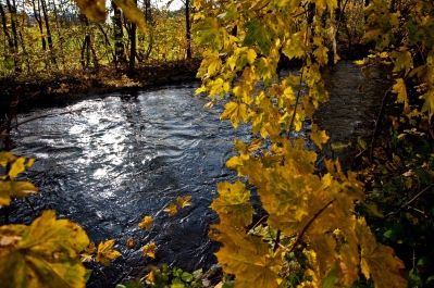 photo 316783