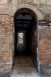 photo 244958