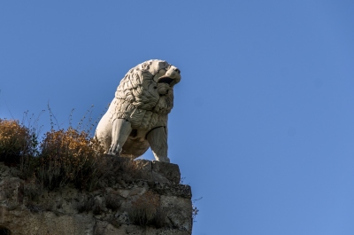 photo 245235