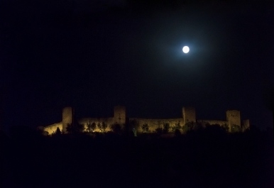 photo 245240