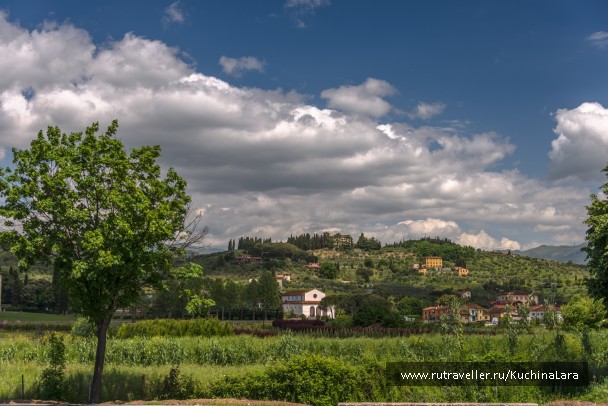photo 435388