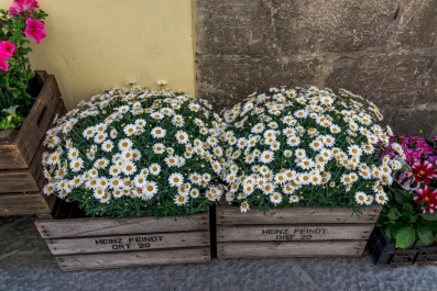 photo 446327