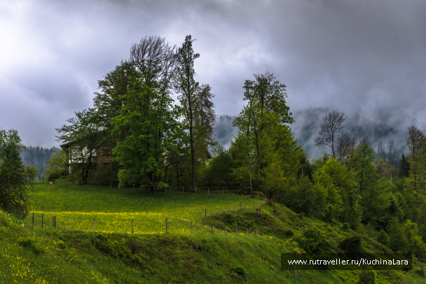 photo 1522553