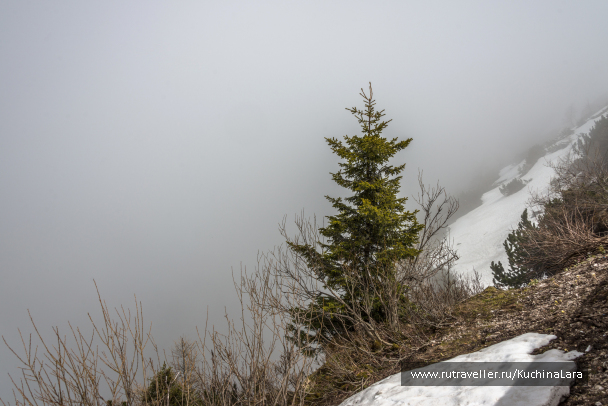 photo 1540711
