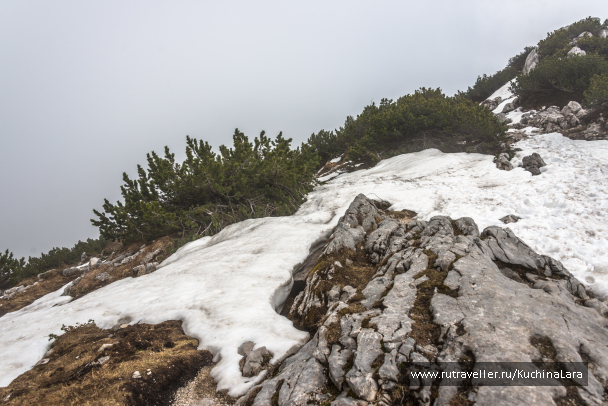 photo 1542522