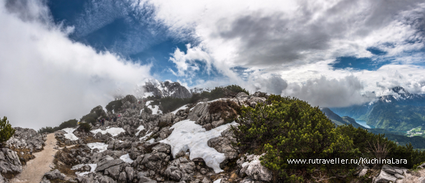 photo 1542523