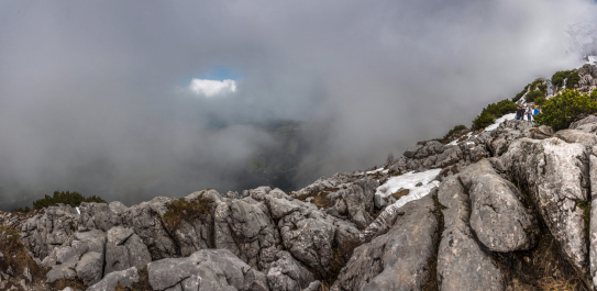 photo 1545062