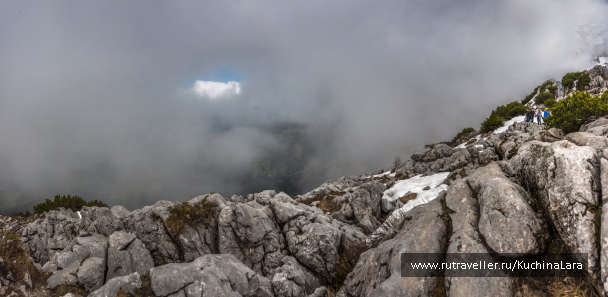 photo 1545062