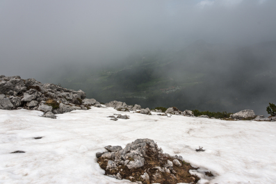 photo 1545063