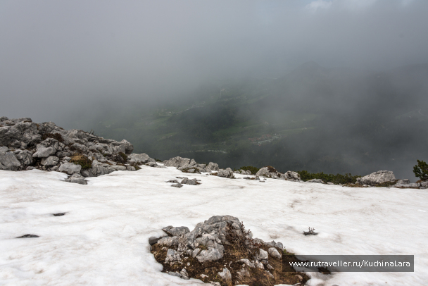 photo 1545063
