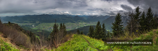 photo 1547175