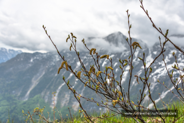 photo 1547180