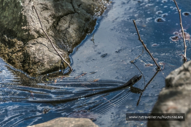 photo 762794