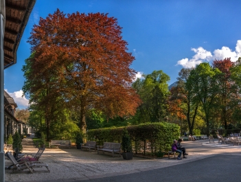 photo 768775