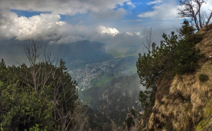 photo 779881