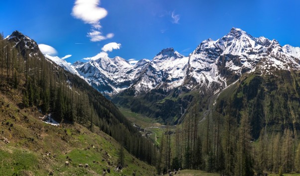 Гроссглокнер-2014--0186 Panorama