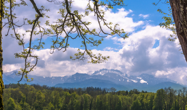 Chiemsee_014