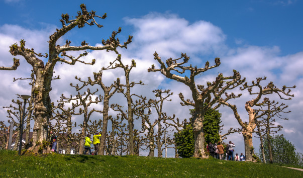 Chiemsee_012