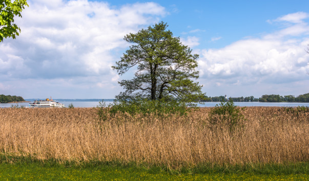 Chiemsee_009