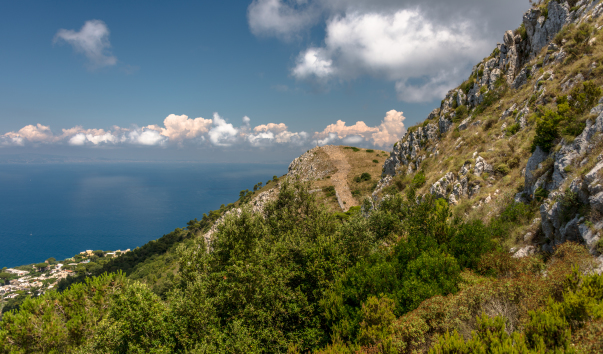 Capri_2014-0372
