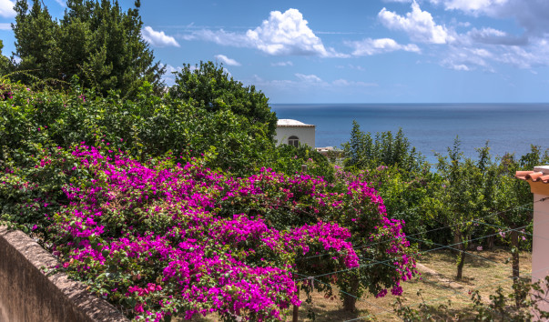Praiano_2014-023