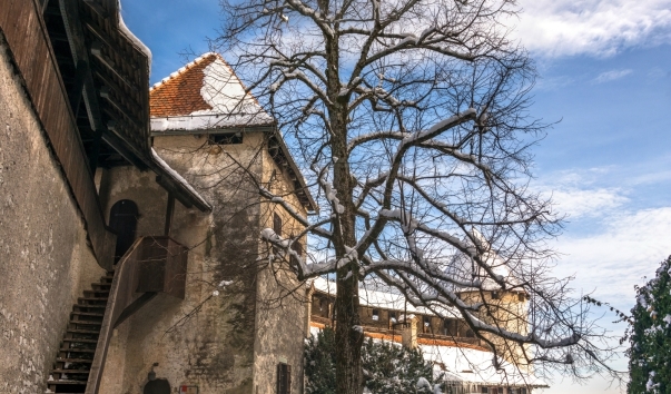 Slovenia_2015-2255 Panorama