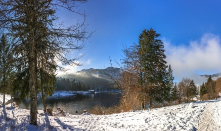 photo 973607